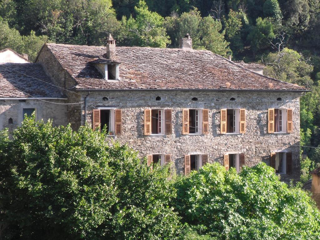 Chambre D'Hotes La Marlotte Castello-di-Rostino Eksteriør billede